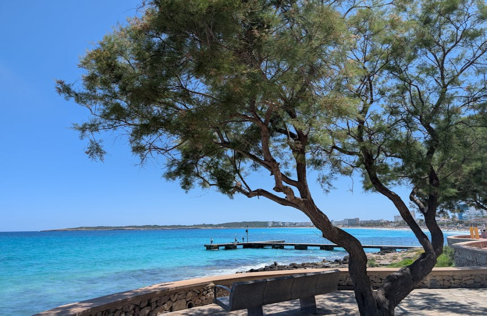 Playa de Muro centrum: alles op loopafstand voor een fijne hotelvakantie