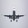 Veelzijdige vakantie? Kies voor Suriname!