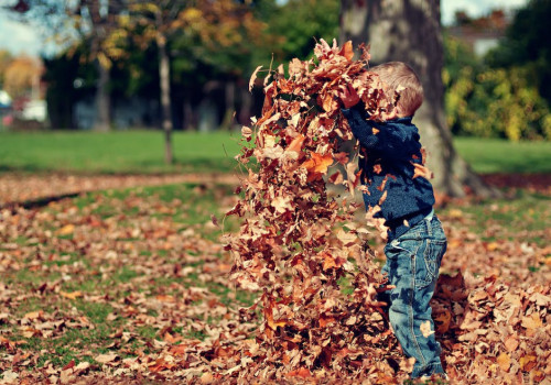 Handige tips voor een onvergetelijke herfstvakantie